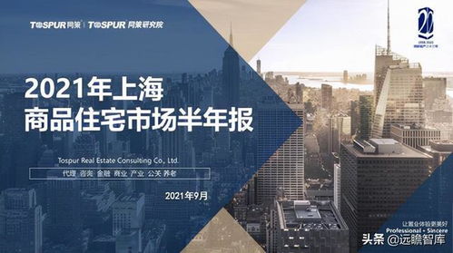 上海樓市 滬十條 新政對二手房市場影響大于新房